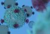 T cells