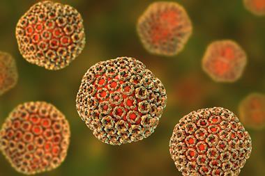 Rift valley fever virus